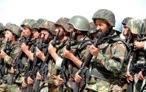 10153513_525365614246968_921376413_n-448x286