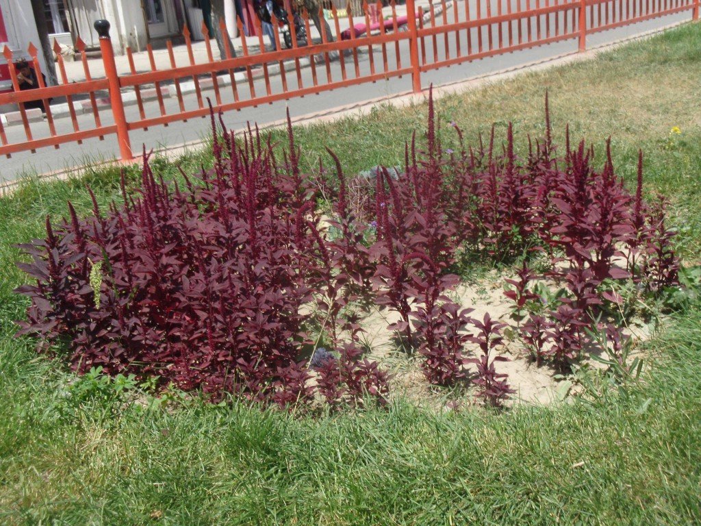 شهروند خبرنگار (۴)