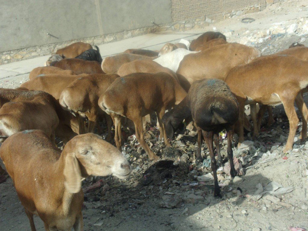 شهروند خبرنگار (۵۳)