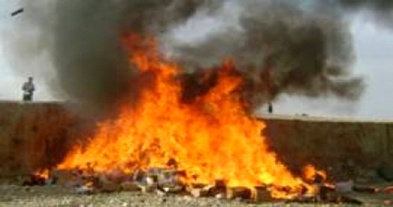 دومین محموله مواد کیمیایی در هرات به آتش کشیده شد