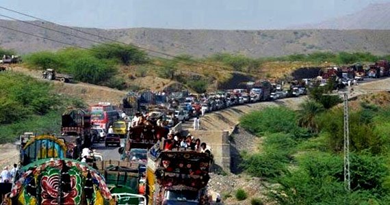 شماری از آوارهگان داخلی هرات به محلات اصلی شان منتقل شدند