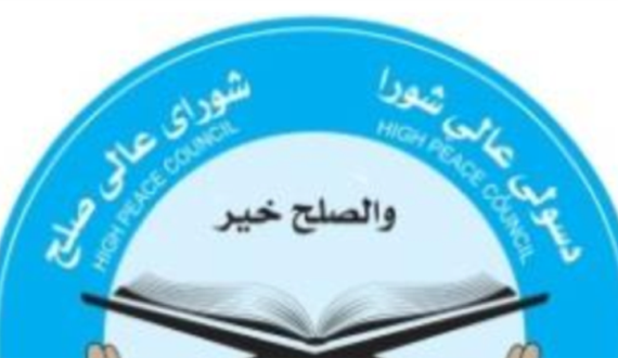 شورای صلح نگران ایجاد بورد مشورتی از سوی رییس جمهور است