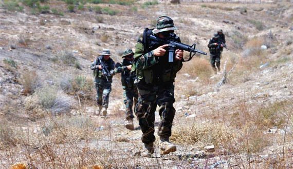 ۱۱ فرمانده پیکارجویان طالب طی دو هفته گذشته در غزنی کشته شدند