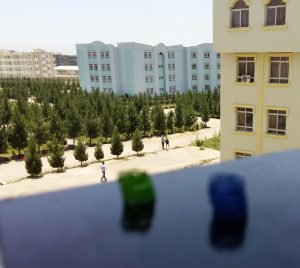 Daily-photos (10)