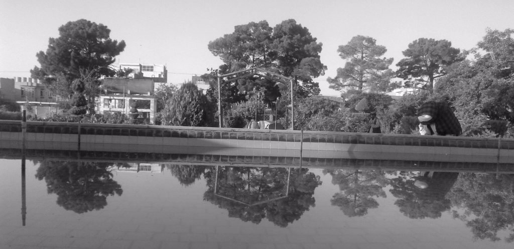 Citizen-Journalism (10)