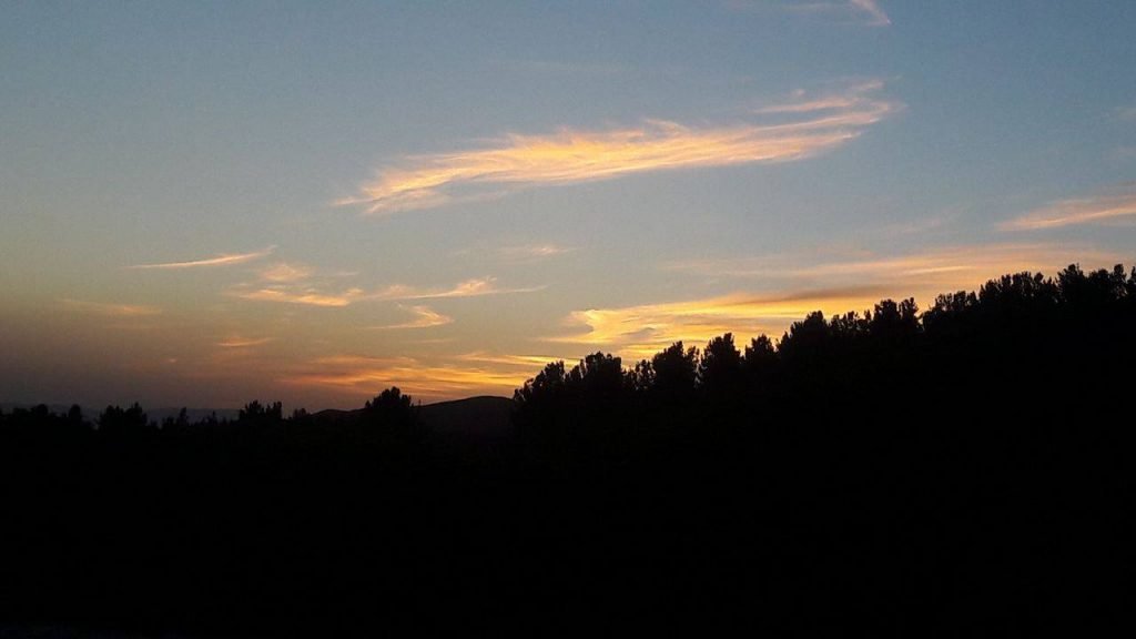 Citizen-journalism (1)