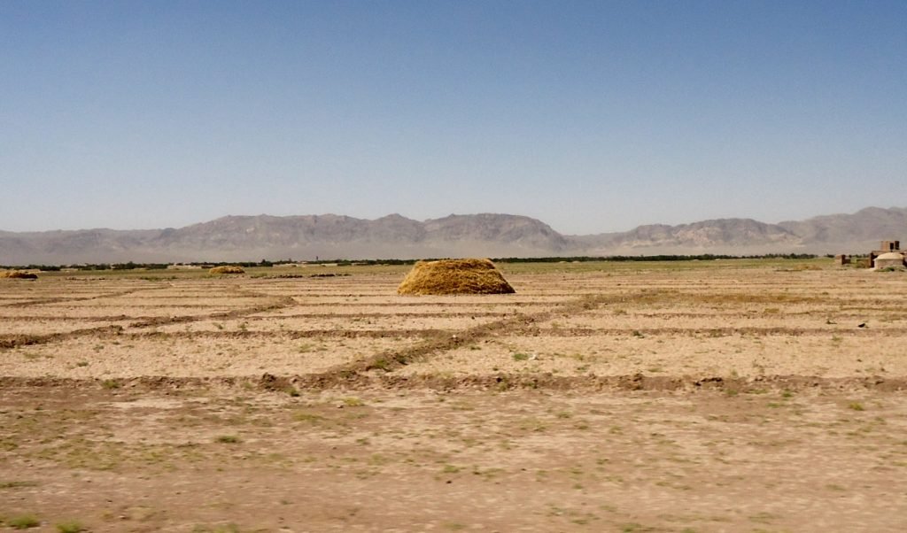 تقسیم میراث در بادغیس، شش کشته و چهار زخمی برجای گذاشت
