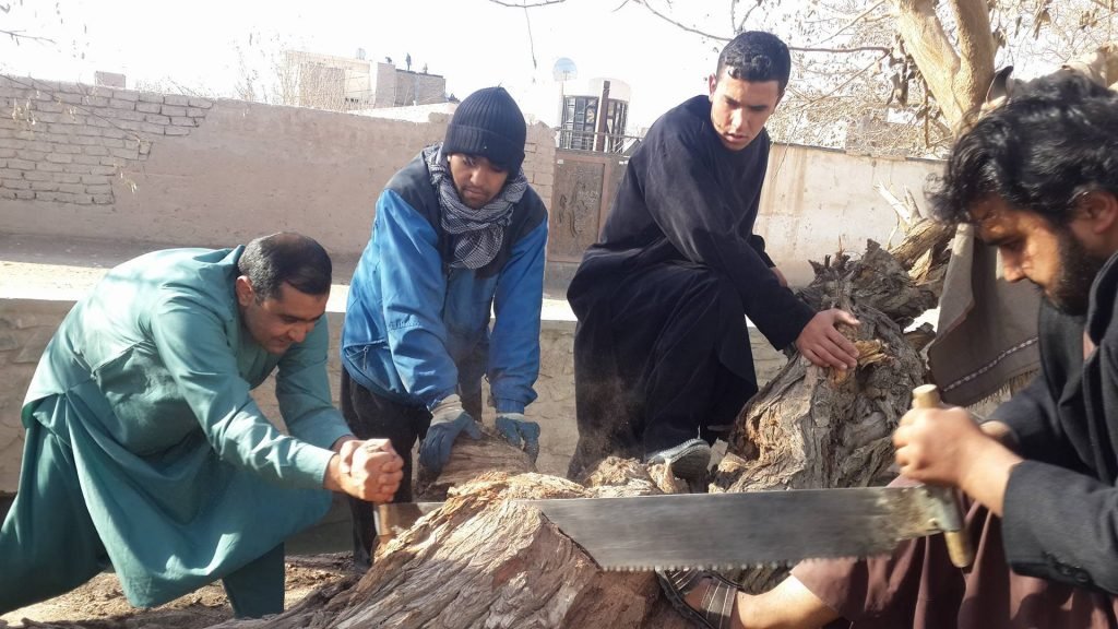 عکس‌های ارسالی شهروند خبرنگاران … یک عکس جای هزار واژه معنا می‎دهد.