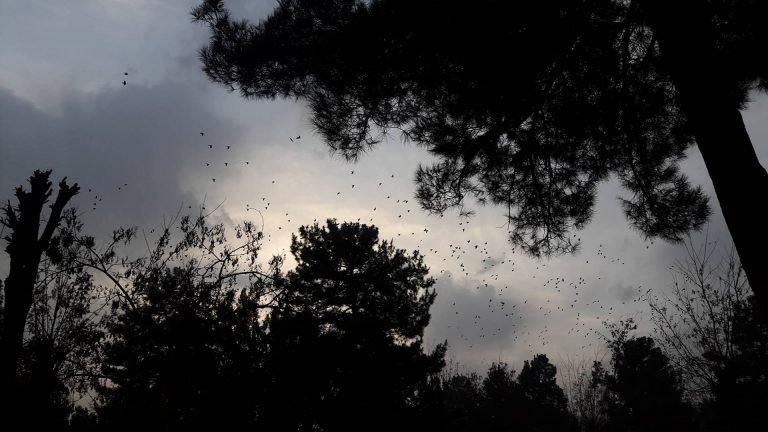 عکس‌های ارسالی شهروند خبرنگاران … یک عکس جای هزار واژه معنا می‎دهد.