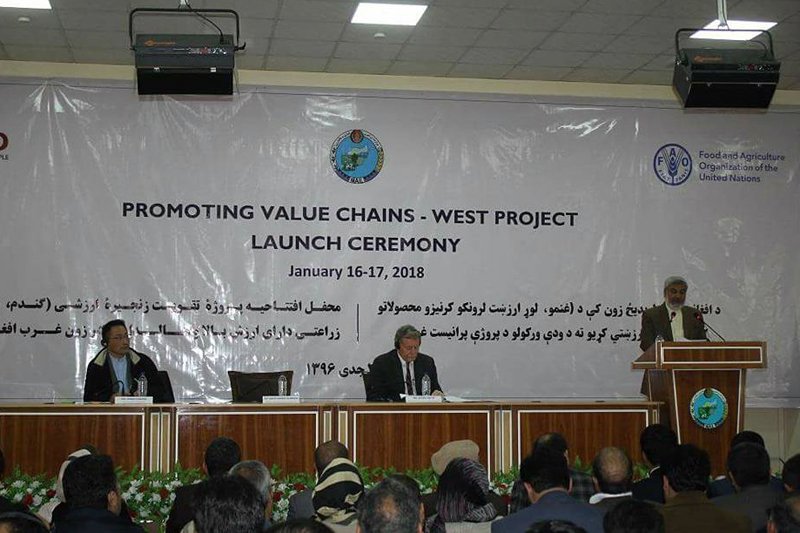 افتتاح برنامه "تقویت زنجیرهای ارزش گندم و دامداری" در افغانستان