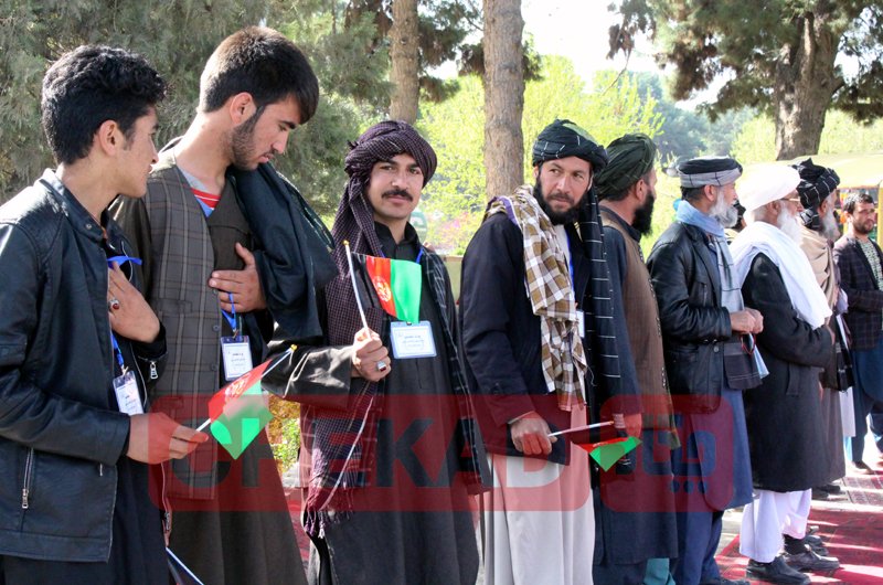 کارزار نهال‌شانی در آستانه سال نو در هرات