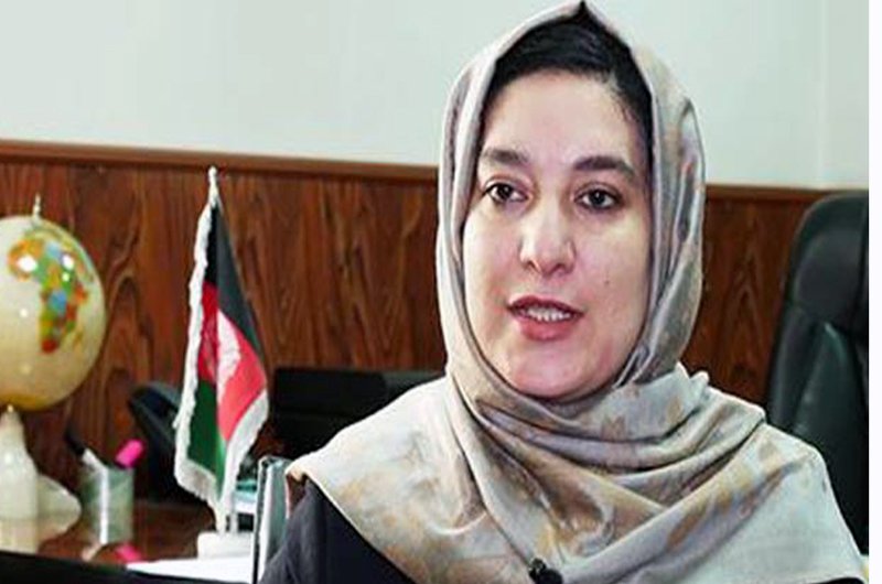 وسیمه بادغیسی از مشکلات کمیسیون مستقل انتخابات افغانستان پرده برداشت