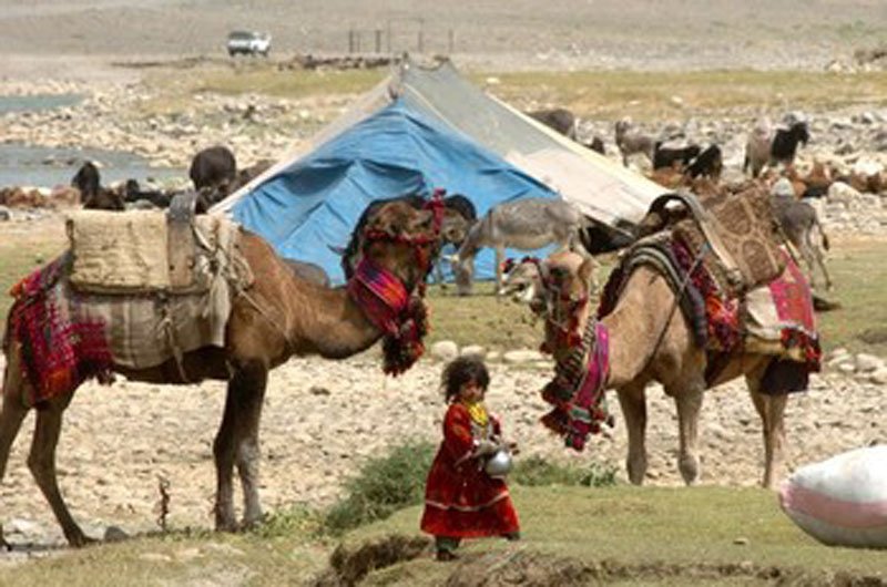 کوچی‌ها در زون غرب نامزدی برای انتخابات ندارند