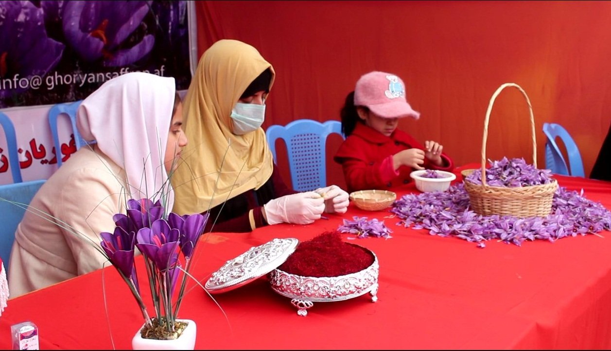 برگزاری چهارمین جشنواره زعفران در هرات