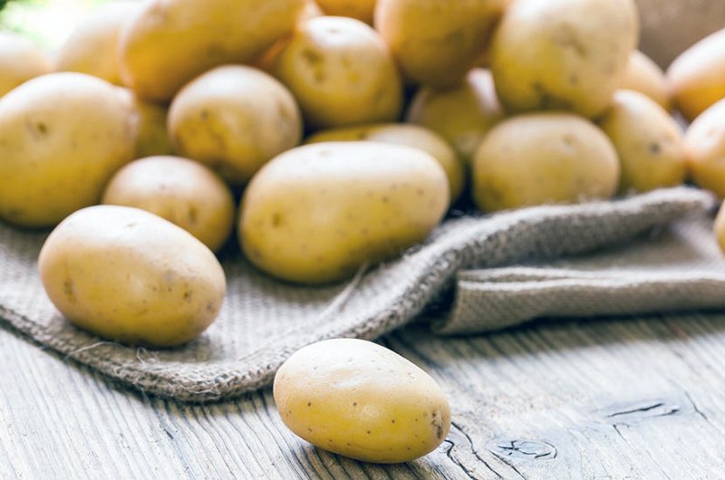 فواید کچالو در پیشگیری از سرطان و سلامت قلب و مغز