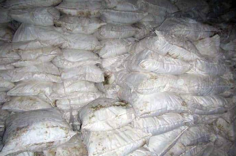 بیش از 100 تن مواد مخدر در فراه کشف شد