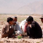 مزرعه احمدی