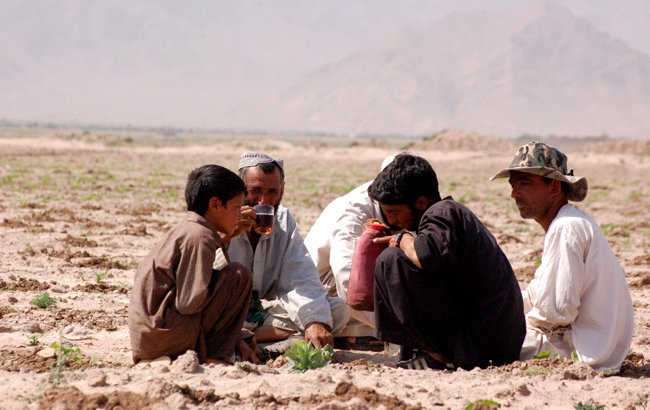 مزرعه احمدی