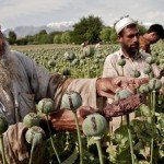 قاچاق مواد مخدر در کشور افزایش‌یافته است