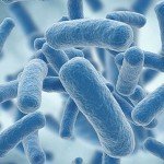 امید می‌رود که آنتی‌بیوتیک تازه، تحول بزرگی باشد