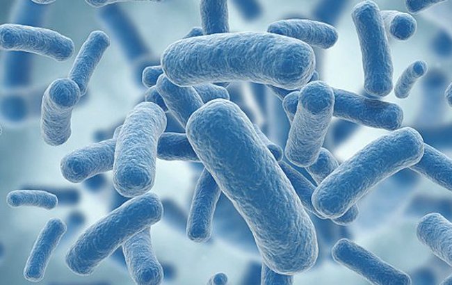 امید می‌رود که آنتی‌بیوتیک تازه، تحول بزرگی باشد