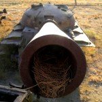 عکس های ارسالی شهروند خبرنگاران …..