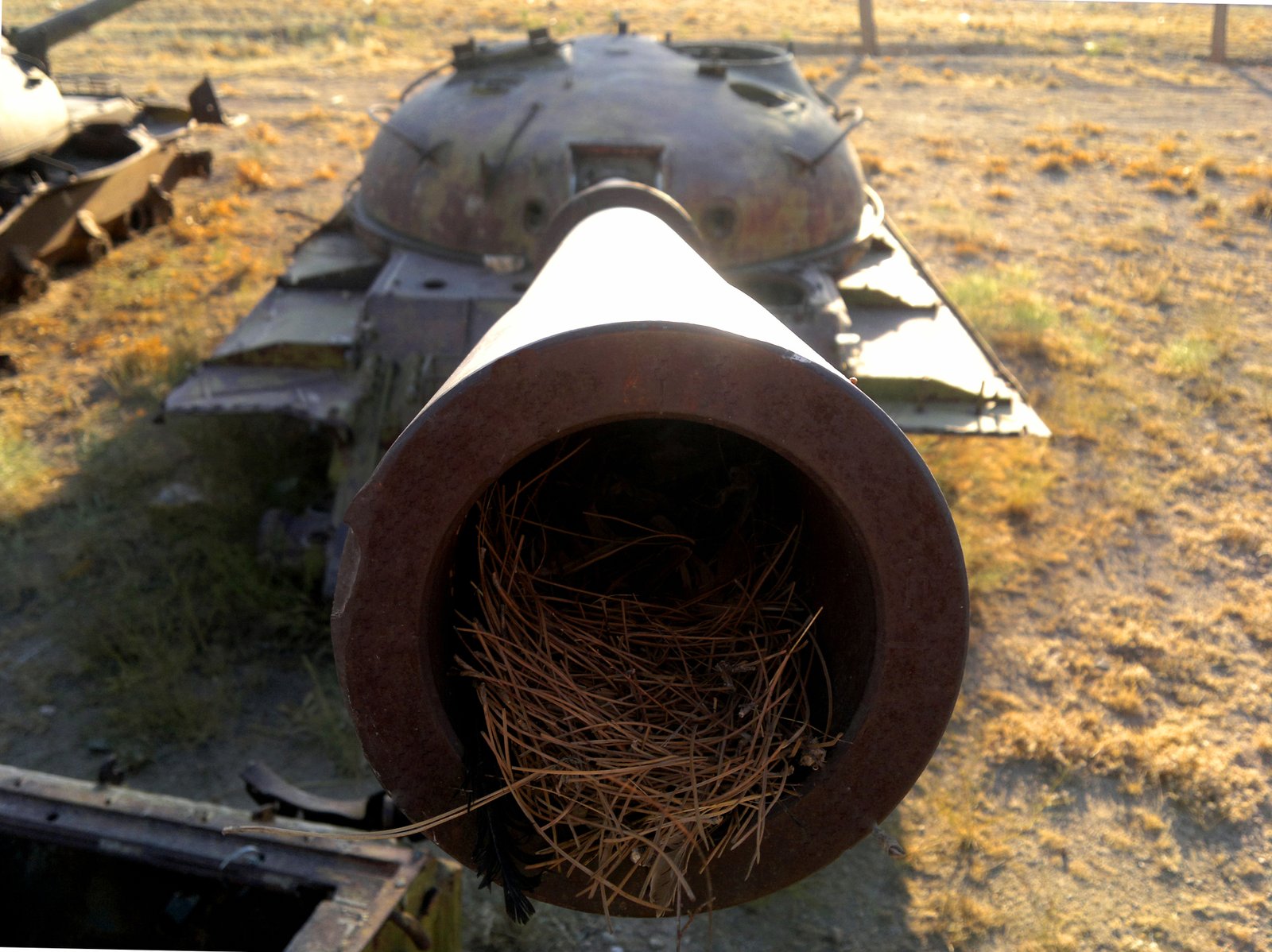 عکس های ارسالی شهروند خبرنگاران …..