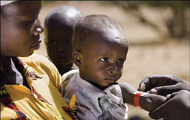 بازداشت یکی از عاملان ترور ارسلا جمال والی پیشین ولایت لوگر