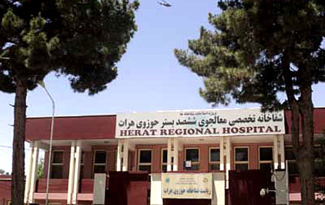 اجساد دو  کودک بی هویت در هرات