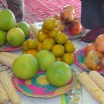 نمایشگاه محصولات زراعتی افغانستان در ایتالیا