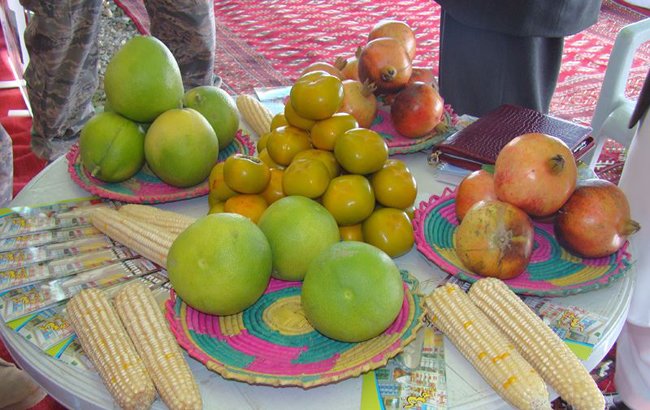 نمایشگاه محصولات زراعتی افغانستان در ایتالیا