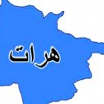 رییس عمومی موسسه  J.R.S از سوی آدم‌ربایان آزاد گردید