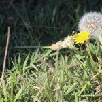 عکس های ارسالی شهروند خبرنگاران …..