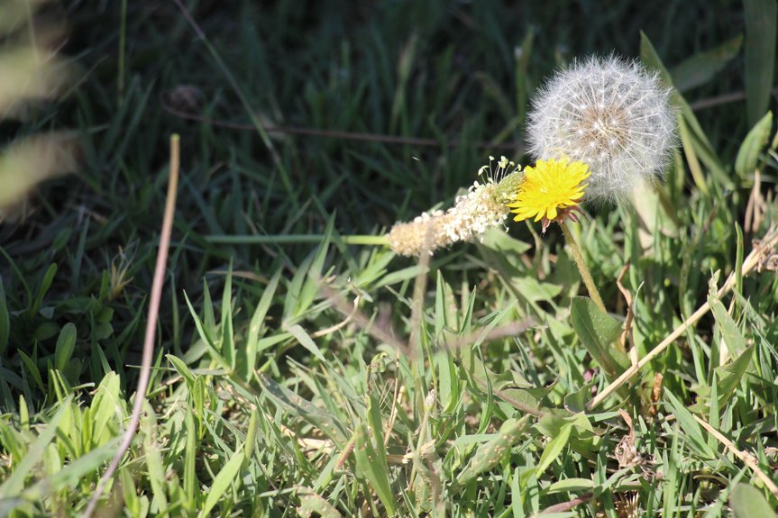 عکس های ارسالی شهروند خبرنگاران …..