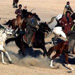 فرهنگ چیست؟