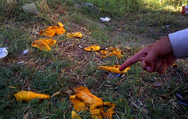 آلودگی محیط زیست