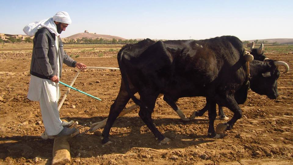 عکس های ارسالی شهروند خبرنگاران …..