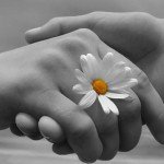 با همسر خود چگونه رفتار کنیم