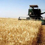 ایجاد ۱۱۵ مکتب برای آموزش کشاورزان