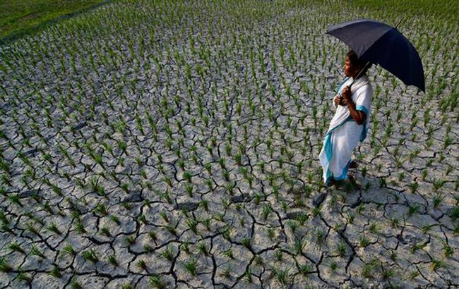 موج گرمای بی‌سابقه در هند جان دست‌کم ۷۵۰ تن را گرفت