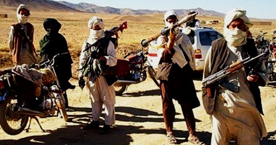 بیش از ۸۰ طالب کشته شدند