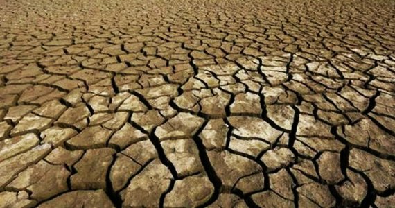 زمین وارد ‘عصر جدیدی از انقراض بزرگ’ می‌شود