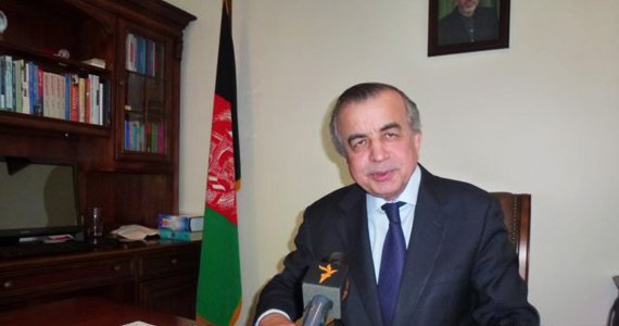 نخستین پرده برداری از شمار جنگجویان خارجی در افغانستان