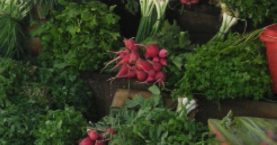 عاید ده میلیون دلاری دهقانان فراه