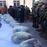 فرماندهی پولیس هرات از کشف ۱۶ کیلو گرام مواد مخدر در این ولایت خبر می‌دهد