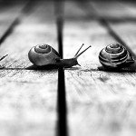 در مسیر اهدافتان بهانه تراشی نکنید !