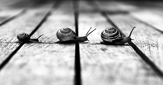 در مسیر اهدافتان بهانه تراشی نکنید !