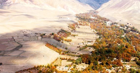 مدیر اجراییه چشت آزاد شد