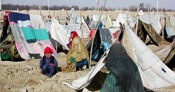 یک‌میلیون بیجا شده تازه