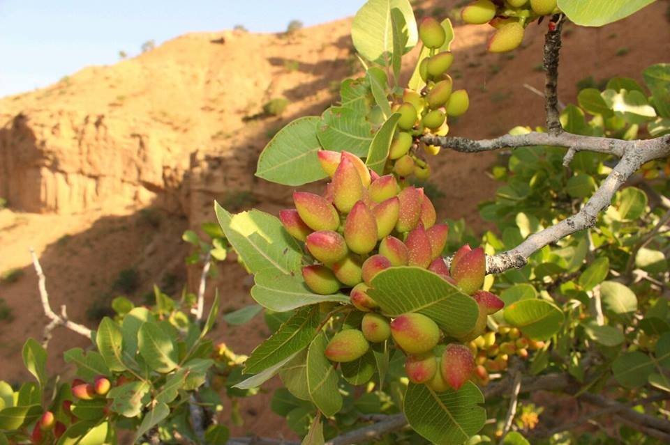 عکس های ارسالی شهروند خبرنگاران …